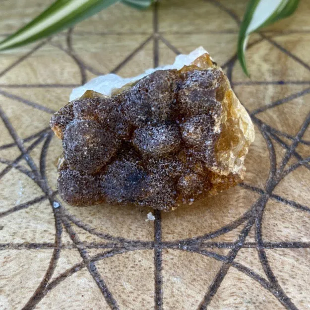 Citrine Cluster Raw Crystal Rock Specimen