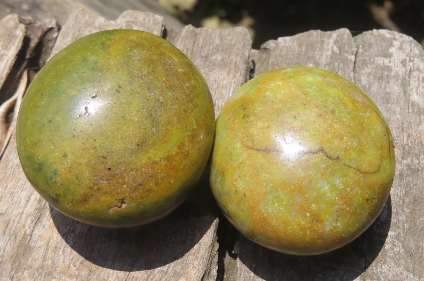 Polished Green Opal Palm Stones x 20 From Madagascar