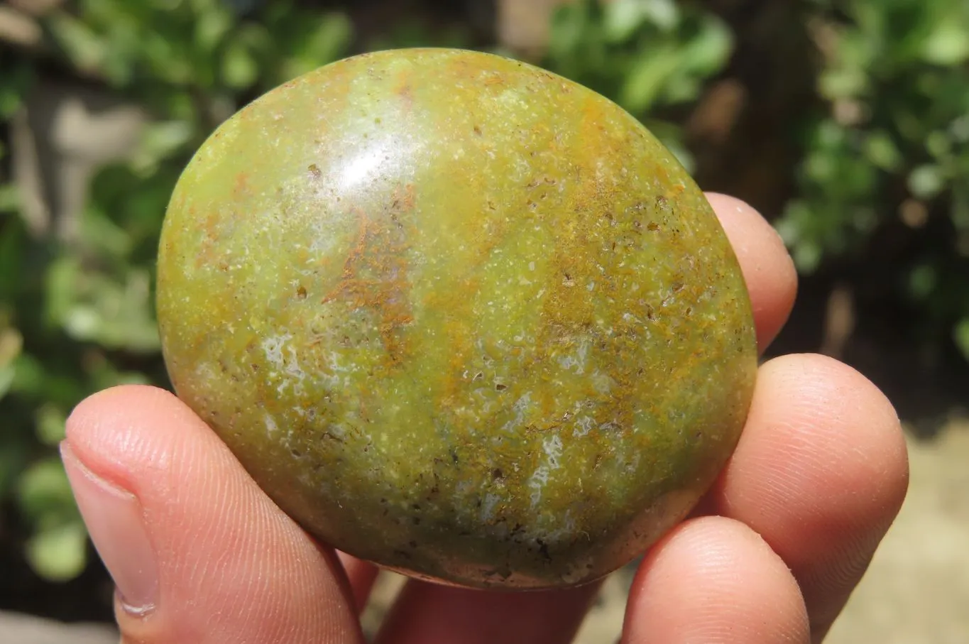 Polished Green Opal Palm Stones x 20 From Madagascar